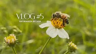 Capítulo #5: Naturaleza en casa.