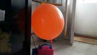 ORANGE BIG BALOON POPPING