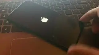 Apples storage management problems strike again