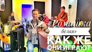 РОМАШКА БЕЛАЯ || вот это они зажигают || Павел Арламов