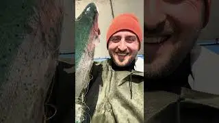 Cute 🦈❤️🦈👍❤️