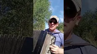 ЛЕТНИЙ ВЕЧЕР НА БАЯНЕ ОТ ВИКТОРА ГРЕБЕ