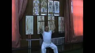 2 часть видео приложение к книге "Новая жизнь.Методология тренировок по Каратэ".