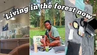 I went to a solo picnic  IN THE FOREST 🌴❤   | How to have a perfect solo Picnic .