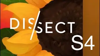 Birocratic - Theme from Dissect S4
