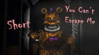 [SFM FNAF] You Can't Escape Me (short)