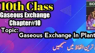 Gaseous Exchange in Plants|10th Biology|Gaseous Exchange
