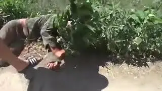 КИБОРГ-УБИЙЦА!