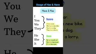 usage of has and have for different subjects.