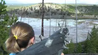Yellowstone and Grand Teton by Car