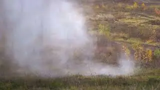 Military Exercises #shorts