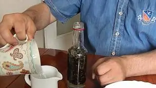 САМИ ГОТОВИМ НАСТОЙКУ ПОДМОРА НА ВОДКЕ