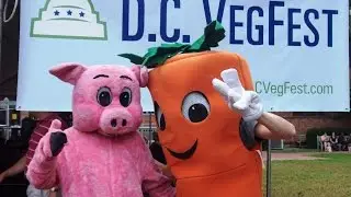 2016 DC VegFest | Vegan En Español