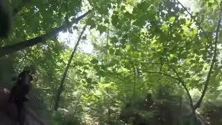 Perry State Forest June 2023