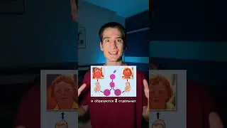 Чем отличаются близнецы от двойняшек? #биология #егэ #факты