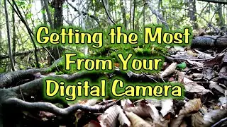 Getting the Most From Your DSLR