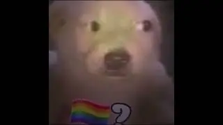 🏳️‍🌈?