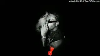 (FREE) Gunna x Young Thug Type Beat 2024 - 