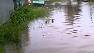 полная жопа