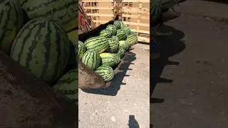 Арбуз 🚜🔥🍉