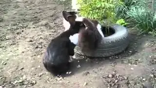 Leave Me Alone / Отвали от меня!
