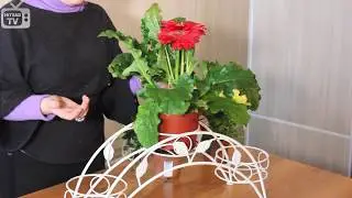 Подставки для цветов на подоконник