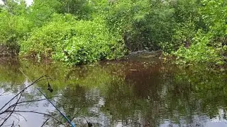 Mancing di spot seram 😱 melatih kesabaran ..