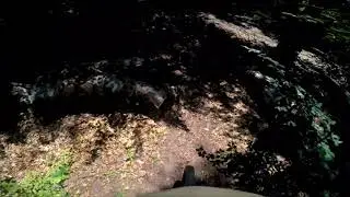 Два дня в Алуште