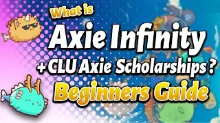 Everything Axie Infinity (Beginners Guide) + What are Axie scholarships?