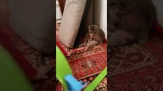 Дружба это все))))