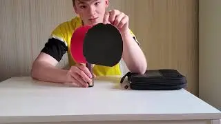 Сравниваем тенерджи 19 с семейством тенерджи и дигнис (Tenergy vs Dignics)