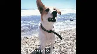 Pacifico - Il postino [2001]
