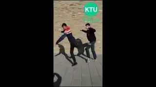 Do it For the Vine - KTUVines 