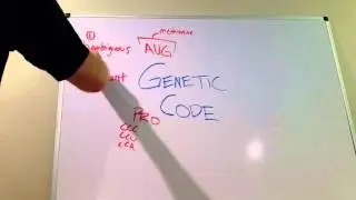 Four Features of the Genetic Code