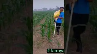 Smart Farmer Fertilizing The Cornfields 😎 
