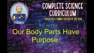 Our Body Parts Have A Purpose