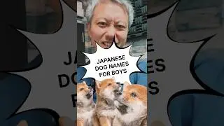Japanese male dog name recommendations 🐶