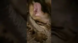 Марсик я люблю тебя:3