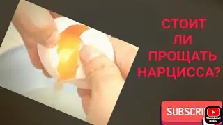 Стоит ли прощать Нарцисса?