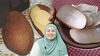 Buah Binjai: Kecur Air Liur