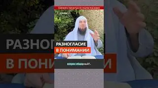 Разногласие в понимании || Сирадж Абу Тальха