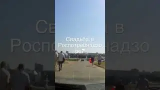 Свадьба в Роспотребнадзор Чебоксары