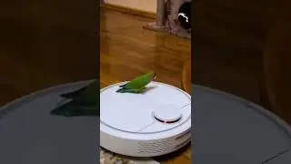 Мне этот мир понятен