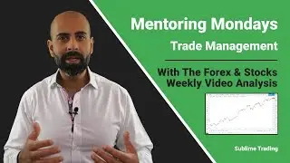 Trade Management System - Mentoring Mondays Analysis