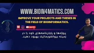 Achieve Bioinformatics Thesis Success with These Strategies