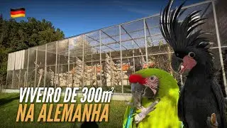 BLACK COCKATOOS and MACAWS breeding in GERMANY | EUROTRIP BIRDTV