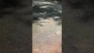 Concrete Pressure Washing Results - 20