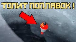 ЭТО КРУПНАЯ РЫБА?! Клюёт на поплавок ЗИМОЙ! Такая рыбалка ВОСХИЩАЕТ!