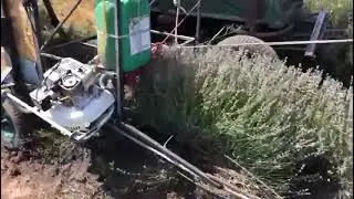 Our Lavender harvesting equipment in tractor mounted version