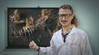 A video by professor Steve Hydrocarbon, on behalf of the world's oil companies.